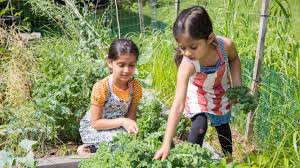 Sistem Monitoring Terbuka untuk Transparansi dan Efisiensi Operasional Perkebunan